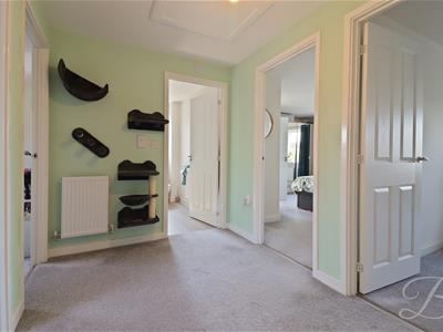 Picture 11